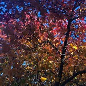 Meet your Posher, Zaria